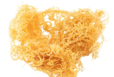 Sea Moss Benefits For Women